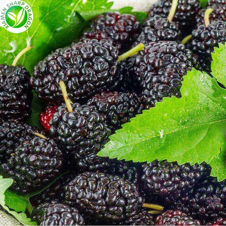 frozen mulberry fruit
