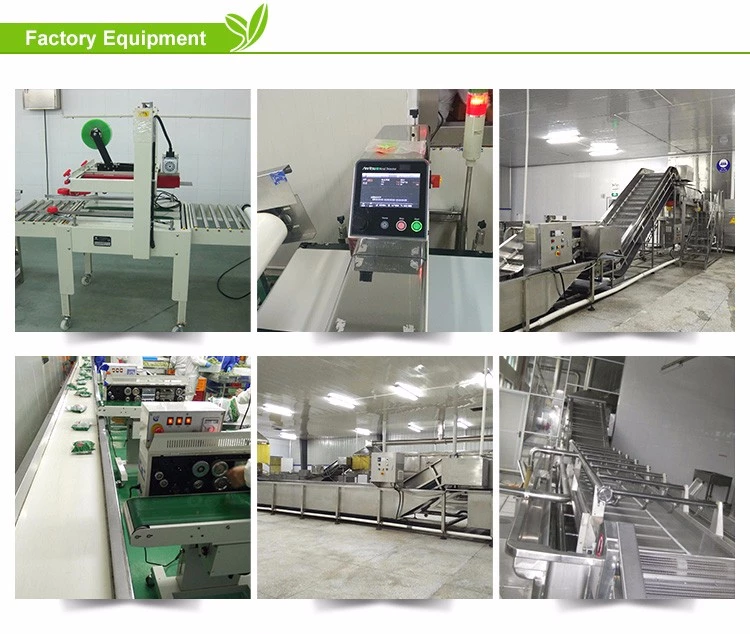 Buyer prices iqf cut vegetables frozen green asparagus in chin