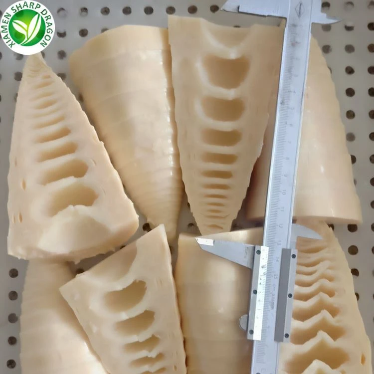Bamboo shoot size