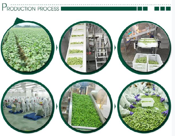 Frozen Snow Pea Pods OU certificate support for export buyers