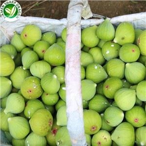 1KG pakirane slike