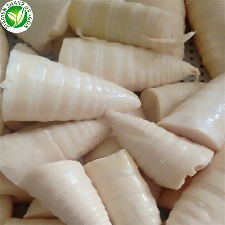 Canned Bamboo Shoots Strips
